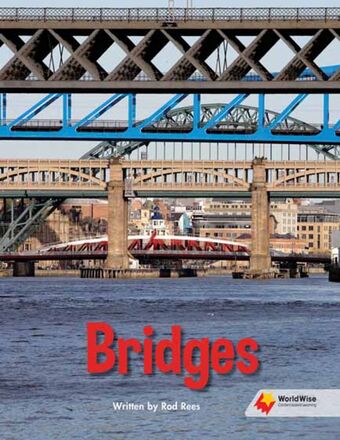 Bridges book cover