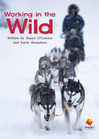 Working in the Wild book cover