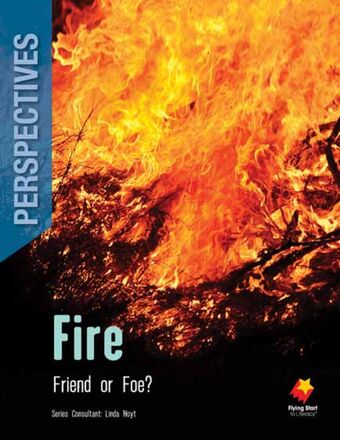 Fire: Friend or Foe? book cover