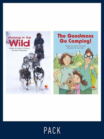 Flying Start Guided Reading Level 26, Pack 3 book cover