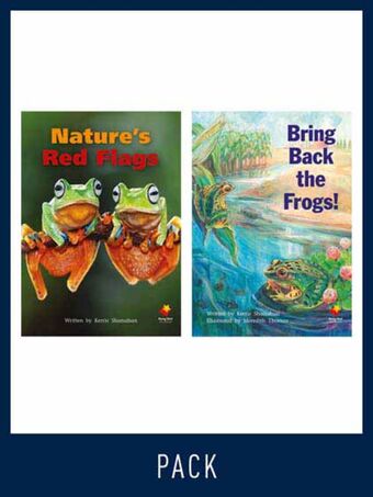 Flying Start Guided Reading Level 27, Pack 3 book cover