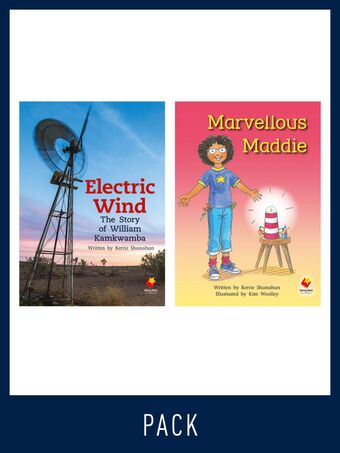 Flying Start Guided Reading Level 30, Pack 3 book cover