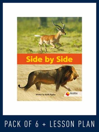 WorldWise Guided Reading Pack Level 21-22, Pack 3 book cover