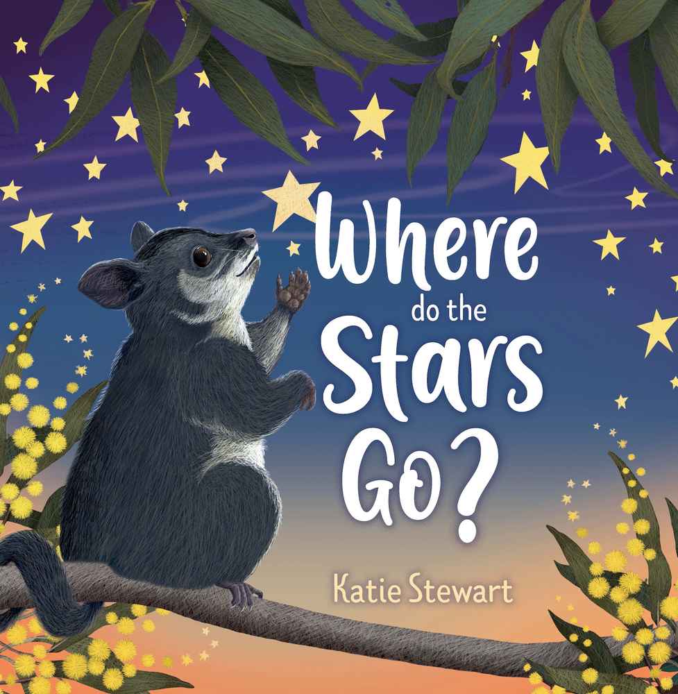 Where do the stars go? book cover