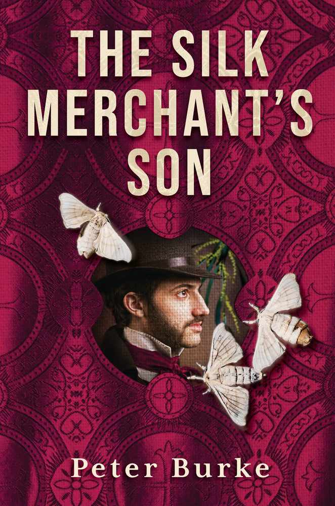 The Silk Merchant's Son book cover