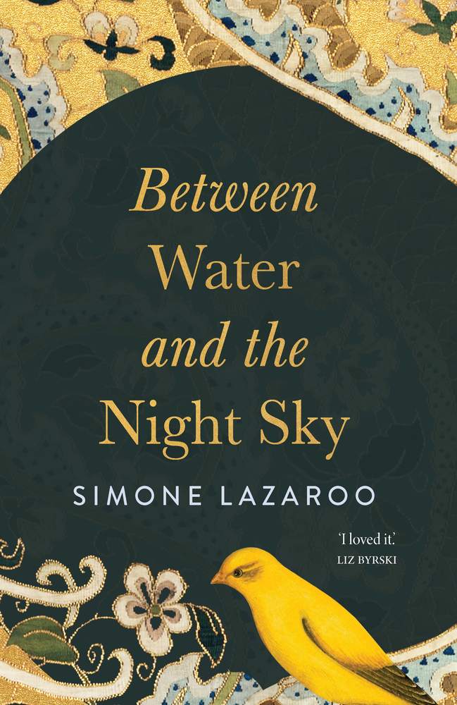 Between Water and the Night Sky book cover
