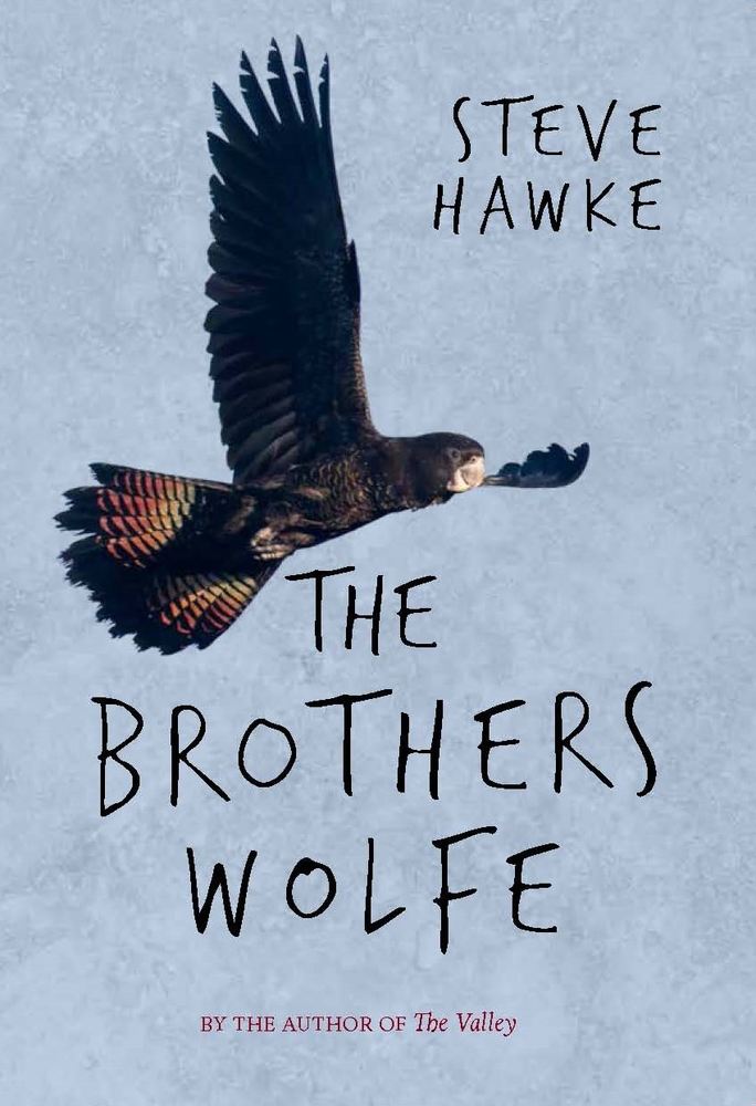 The Brothers Wolfe book cover