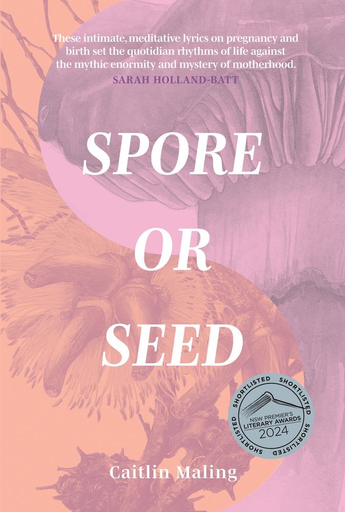 Spore or Seed book cover