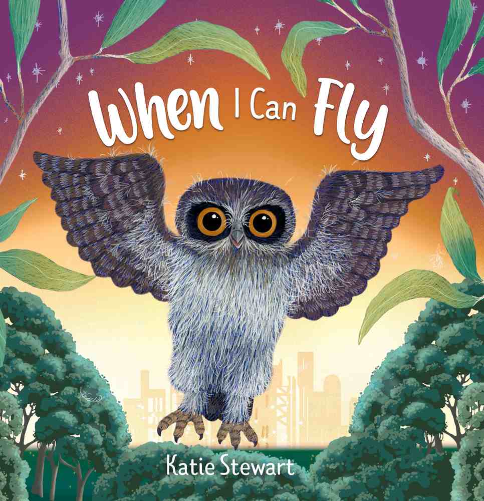 When I Can Fly book cover