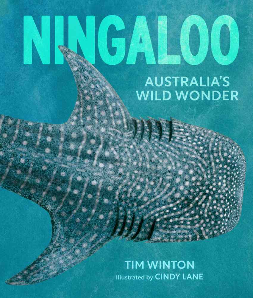Ningaloo book cover