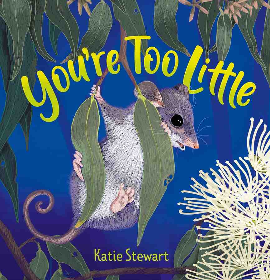 You're Too Little book cover