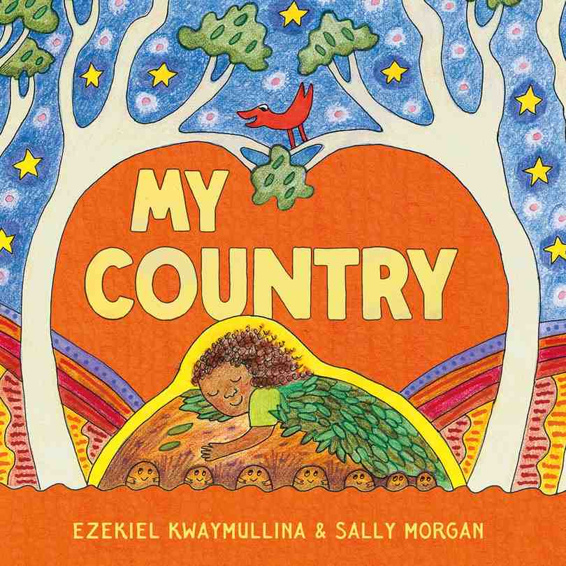 My Country book cover