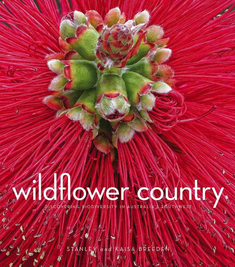Wildflower Country book cover
