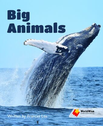 Big Animals book cover