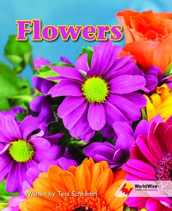 Flowers book cover