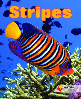 Stripes book cover