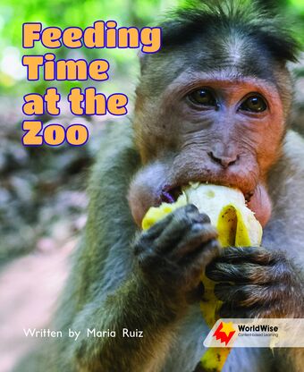 Feeding Time at the Zoo book cover