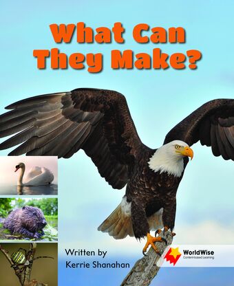 What Can They Make? book cover