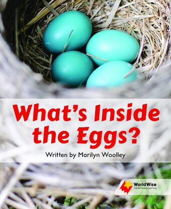 What's Inside the Eggs? book cover