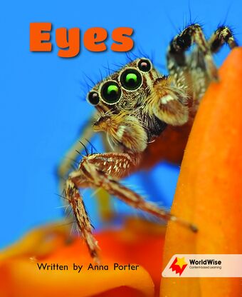 Eyes book cover