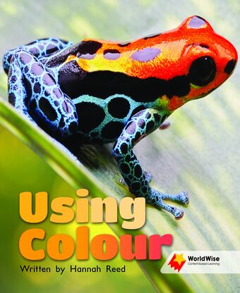 Using Colour book cover