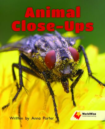 Animal Close-Ups book cover