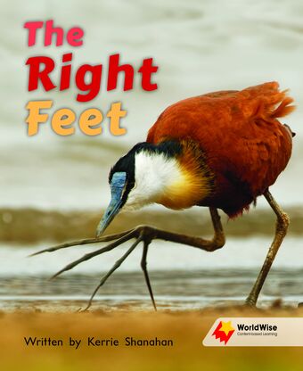 The Right Feet book cover