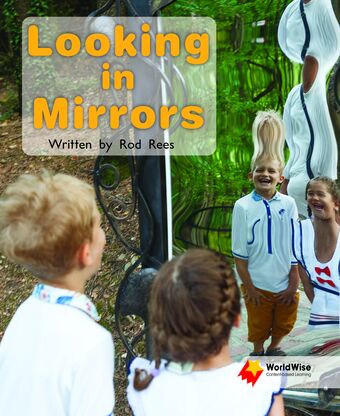Looking in Mirrors book cover