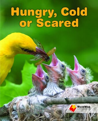 Hungry, Cold or Scared book cover