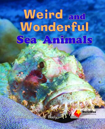 Weird and Wonderful Sea Animals book cover
