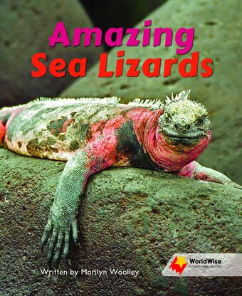 Amazing Sea Lizards book cover