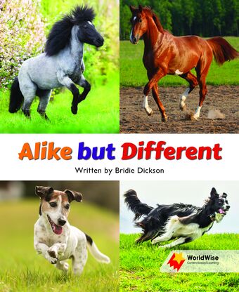 Alike but Different book cover