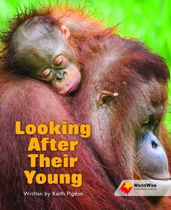 Looking After Their Young book cover