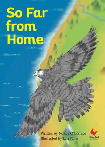 So Far from Home book cover