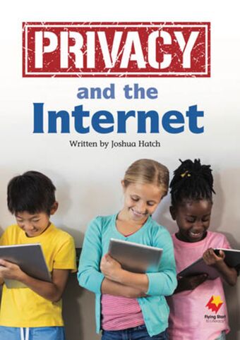 Privacy and the Internet book cover