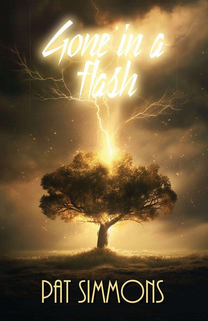Gone in a Flash cover
