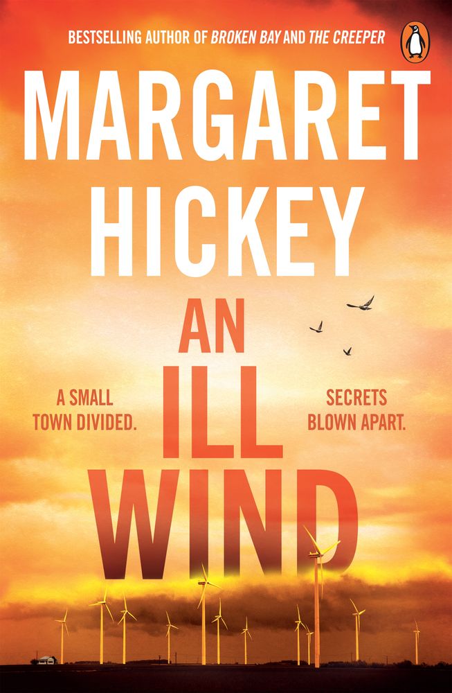 An Ill Wind book cover