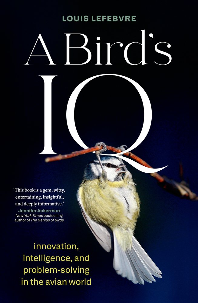 A Bird's IQ book cover