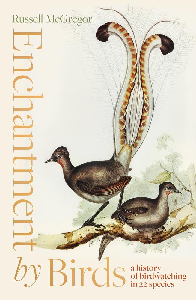 Enchantment by Birds book cover
