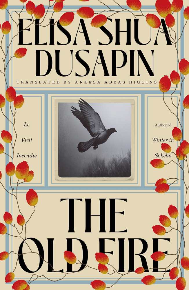 The Old Fire book cover