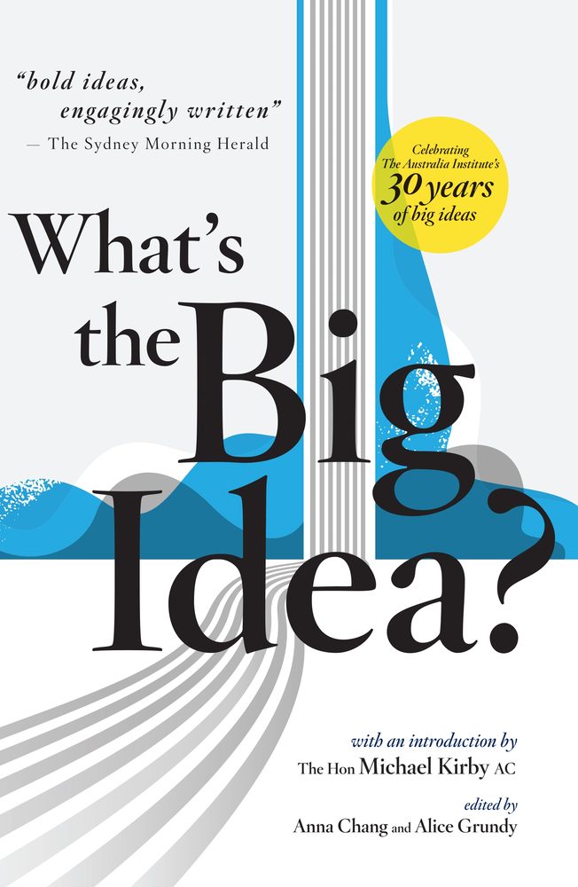 What's the Big Idea? book cover