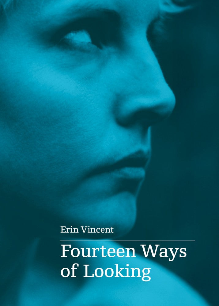 Fourteen Ways of Looking book cover