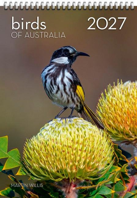 2027 Birds of Australia Wall Calendar cover