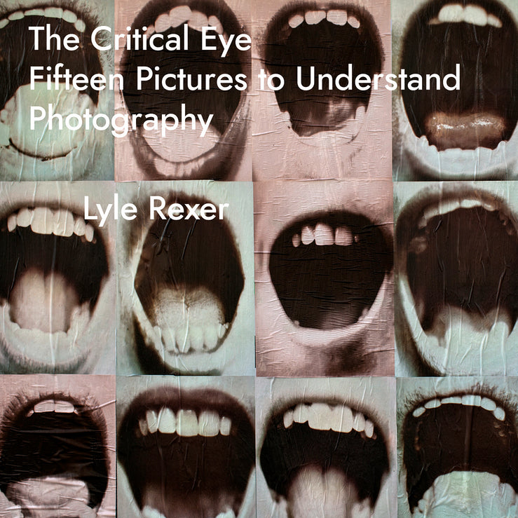 The Critical Eye: Fifteen Pictures to Understand Photography cover