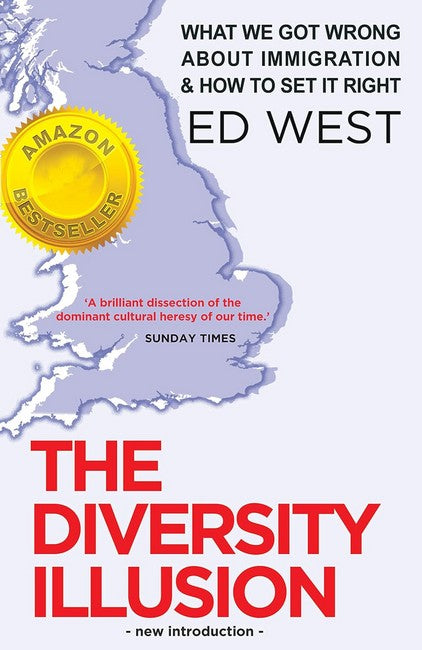 The Diversity Illusion cover