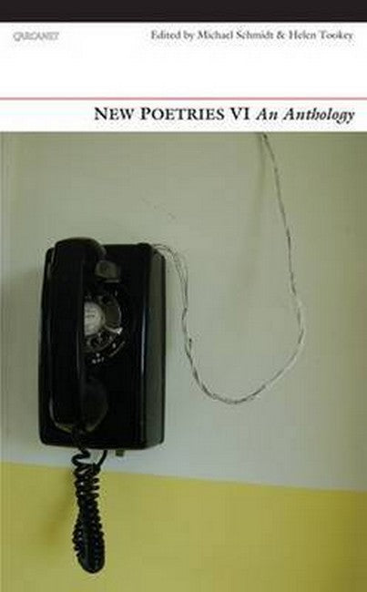 New Poetries VI cover