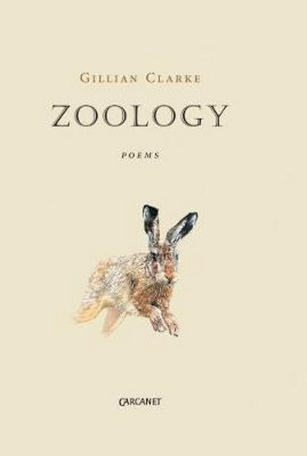 Zoology: