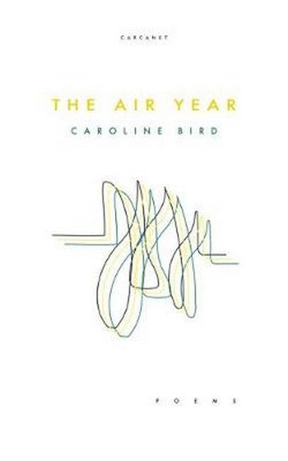 The Air Year cover