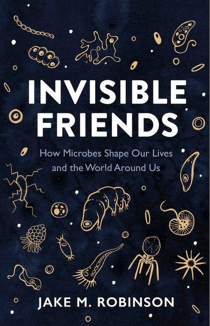Invisible Friends cover