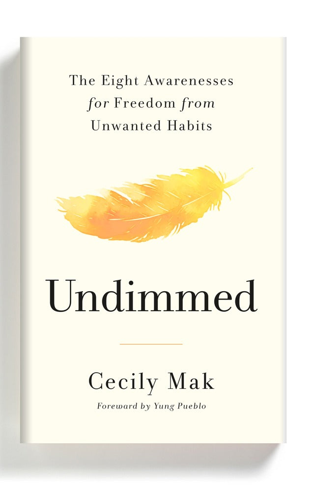 Undimmed book cover